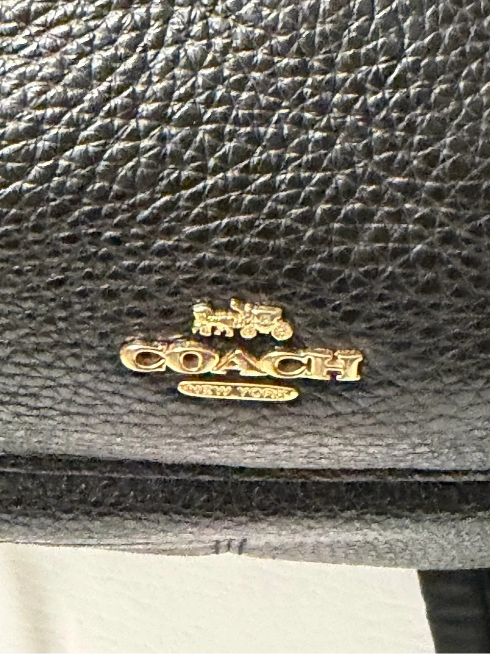 Coach black pebbled